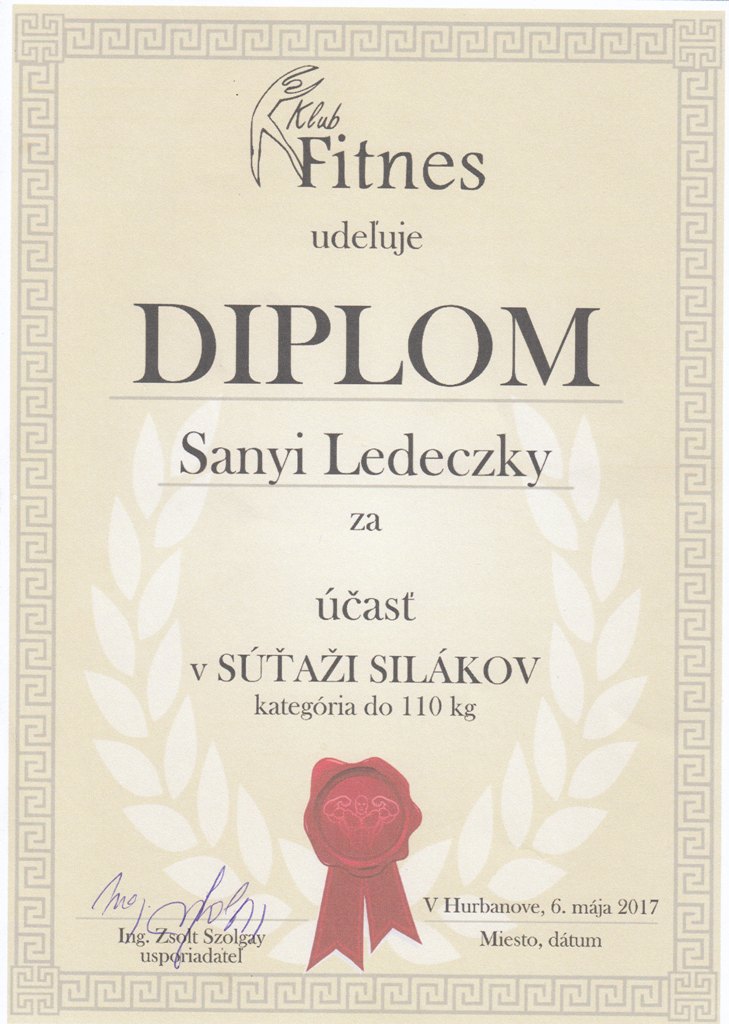 Diplom - Ledeczky 2017