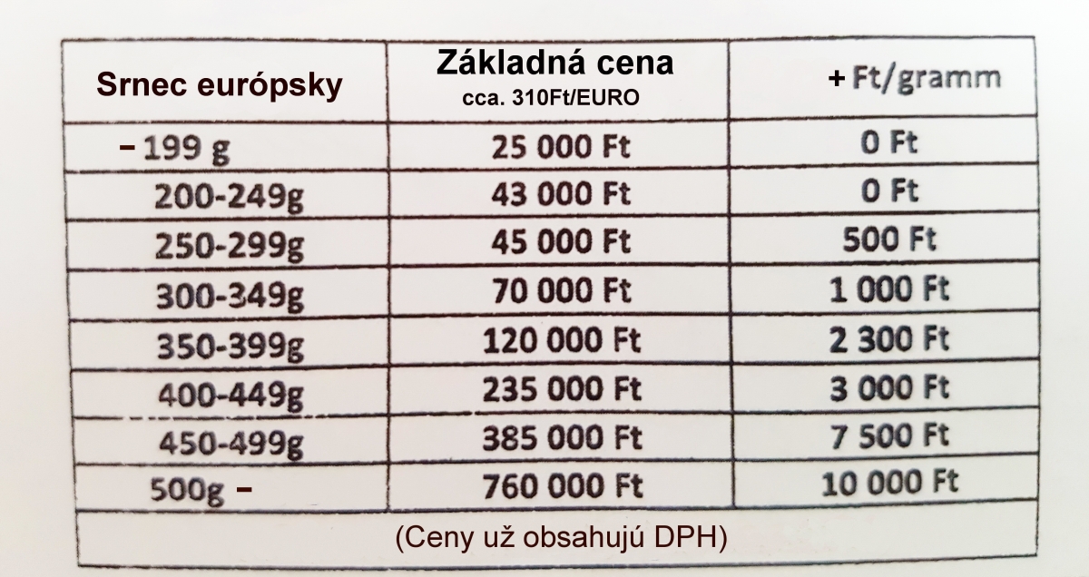 CENNÍK ODSTRELOV SRNCOV - Južné Maďarsko