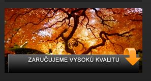 Kamenárstvo Trnava