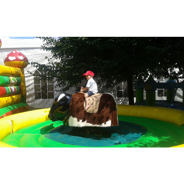 Rodeo býk