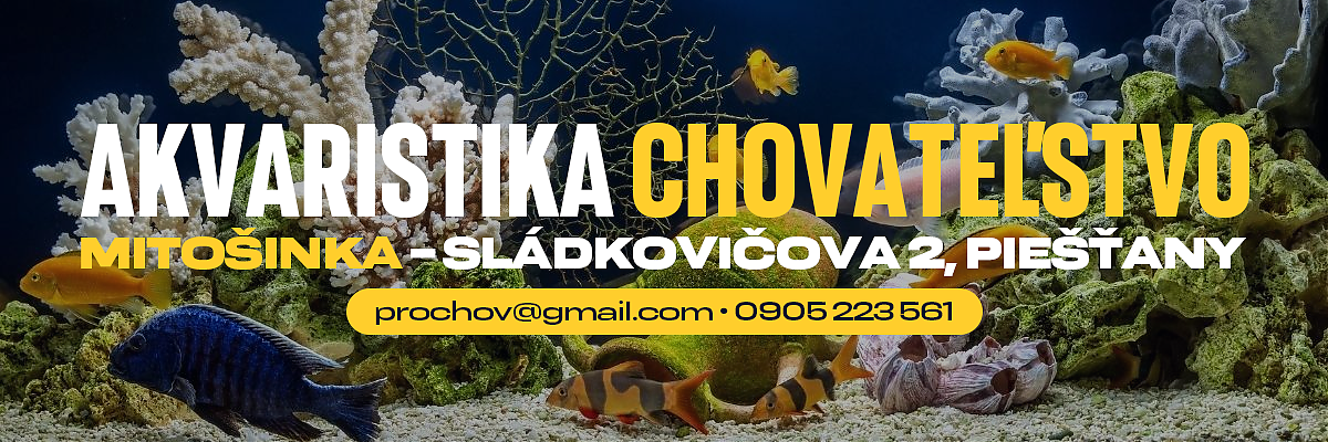 akvaristika piešťany, chovateľské potreby piešťany, teraristika piešťany, výroba akvárií na mieru piešťany, údržba akvárií piešťany, krmivo psy mačky piešťany,