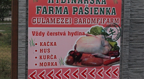 Üdvözöljük