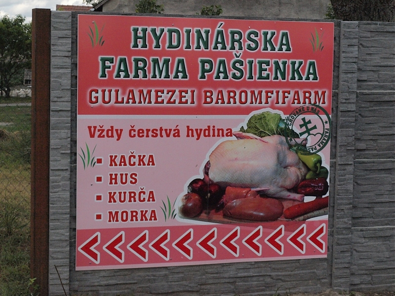 Üdvözöljük