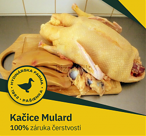 Fő termékünk