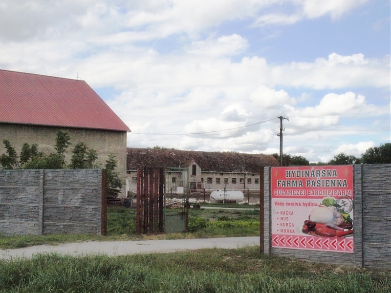 Gulamezei baromfifarm