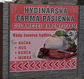 Üdvözöljük