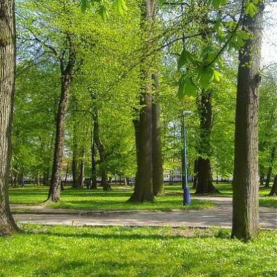 Verejná a súkromná zeleň