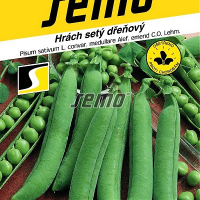 AVOLA - Hrach siaty dreňový