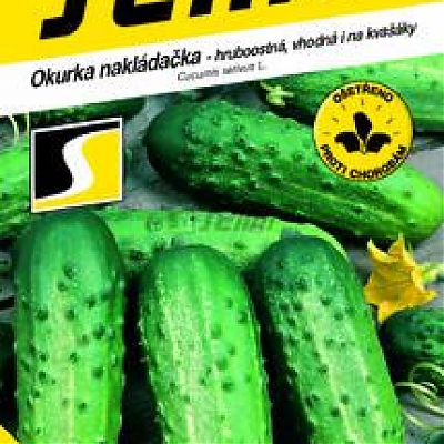 IWONNA F1