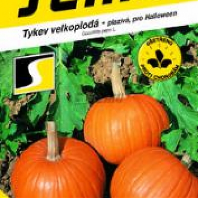 YELLOWBOYS F1 - Tekvice