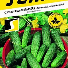SONADA F1 - novinka