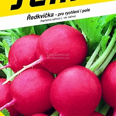 TEKO - Redkvička