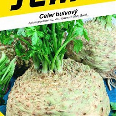 MAXIM - Zeler buľvový