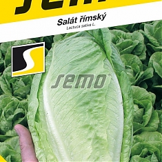 GELBUS  - Šalát rímsky
