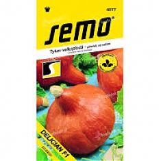HOKKAIDO (Cucurbita maxima Duch.) - Tekvice