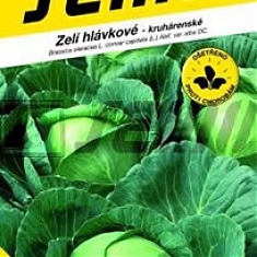 KORINO F1 - Kapusta hlávková