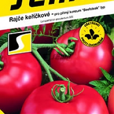 Tereza F1