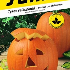 GGIGANTE (Cucurbita maxima Duch.) - Tekvice