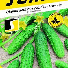 BÁRA F1