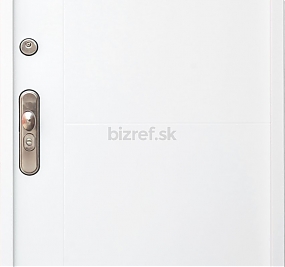 MODERN BIELE