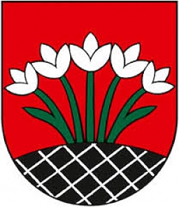 Obec Mierovo
