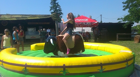 Rodeo býk