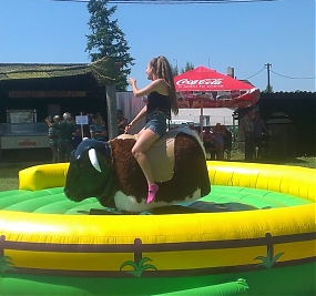 Rodeo býk