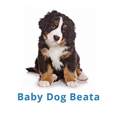 Baby dog Beáta Révész
