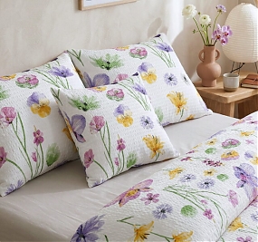 PAPLÓNY a VANKÚŠE