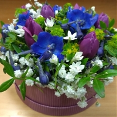 MODRO – FIALOVÝ BOX