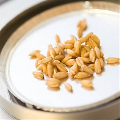 Vďaka týmto zložkám v múke KeimKraft bude mať biele pečivo: