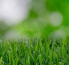 Pozemky