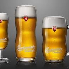 ČAPUJEME U NÁS: Budweiser Budvar  SVETLÉ VÝČAPNÉ PIVO
