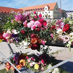 Záhradné centrum O Z N A M