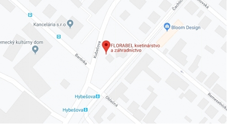 Google maps