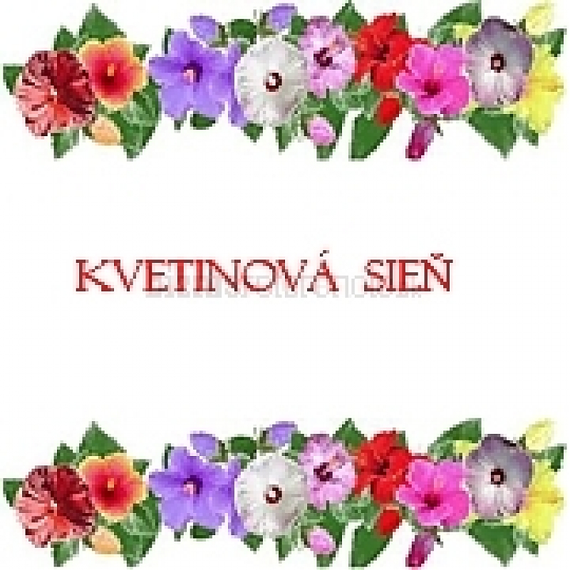Naše bizref referencie - Kvetinová sieň, Darina Karasová, Šaľa