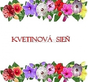 Naše bizref referencie - Kvetinová sieň, Darina Karasová, Šaľa