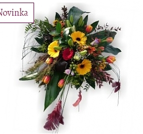 NOVINKY