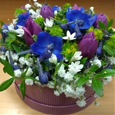 MODRO – FIALOVÝ BOX