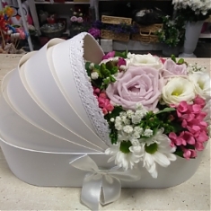 BOX V TVARE KOČÍKA