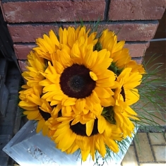 ČISTO SLNEČNICOVÁ KYTICA