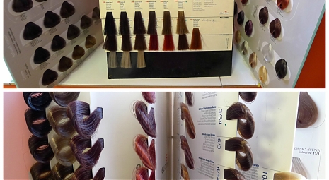 Farbenie vlasov Trnava