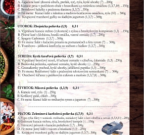DENNÉ MENU - SK
