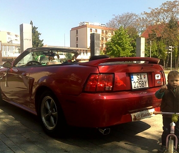 Mustang- FORD MUSTANG CABRIOLET