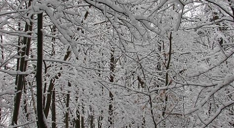 Zimná údržba chodníkov Bratislava