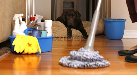 Pomocná sila v domácnosti