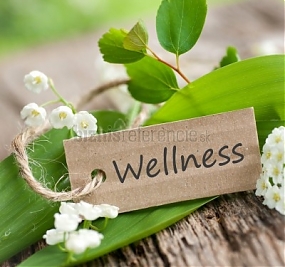 wellness Ružomberok