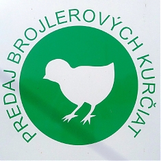 Predávame brojlerové kurčatá, kačice, husi, morky a sliepky