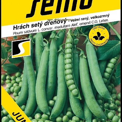 Junos - Hrach siaty dreňový