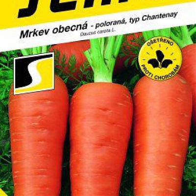 CHAMARE - Mrkva